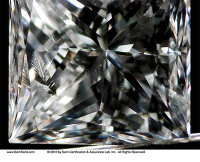 Close up of a diamond feather inclusion