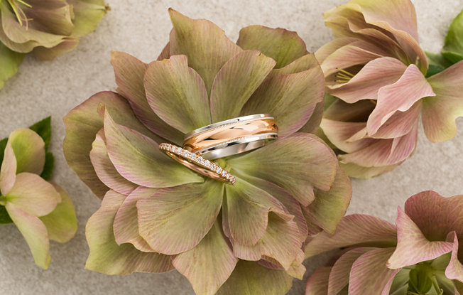 A man and a woman's wedding ring on a bed of flowers