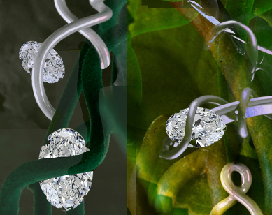 Bongiasca’s Mood Board for Ten/Ten with intertwining vines as inspiration